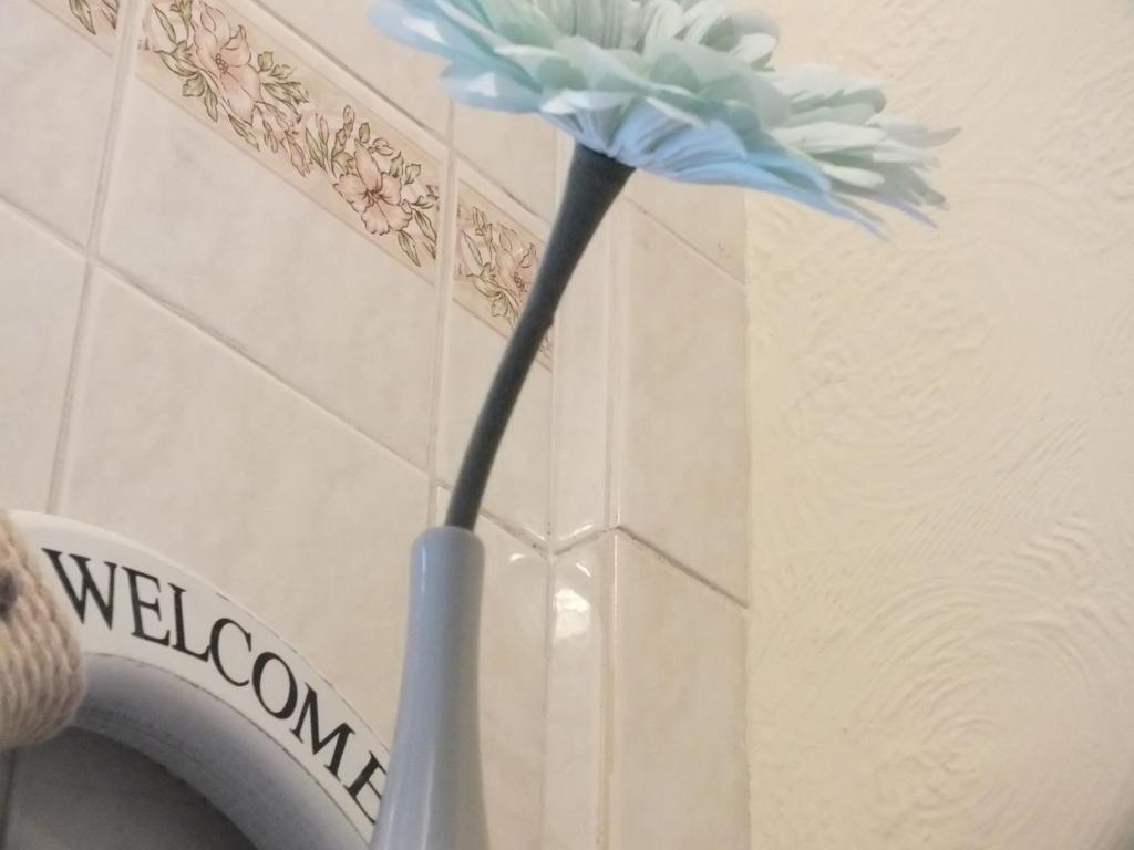 Leonardos Guest House Swansea Camera foto